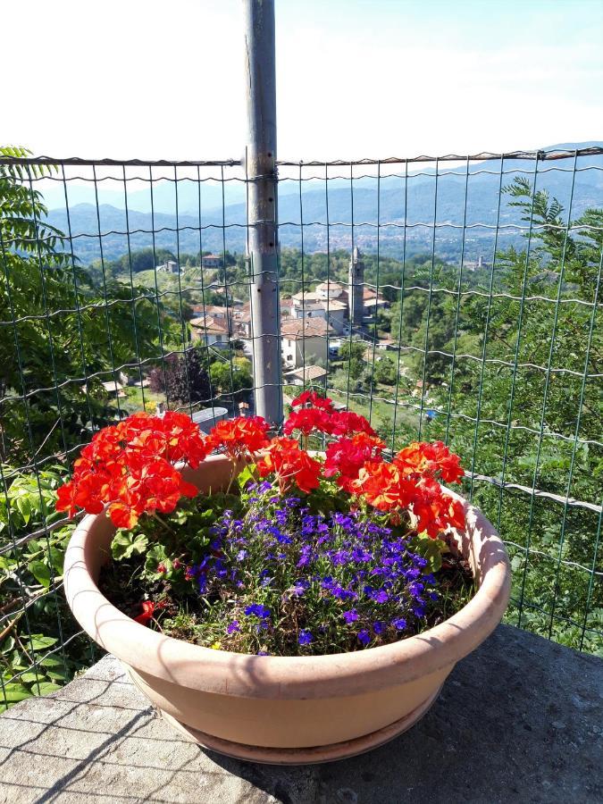La Romanina Apartment Bagnone